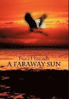 bokomslag Faraway Sun