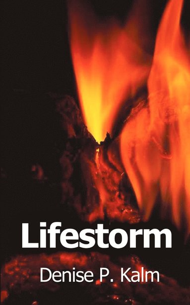 bokomslag Lifestorm