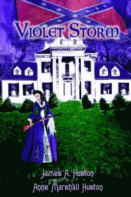 bokomslag Violet Storm