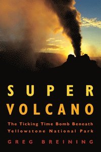 bokomslag Super Volcano