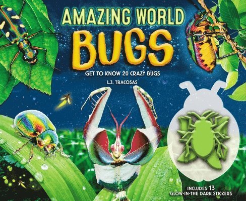 Amazing World: Bugs 1