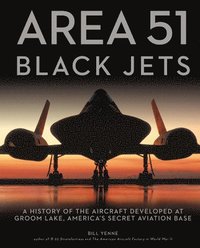 bokomslag Area 51 - Black Jets