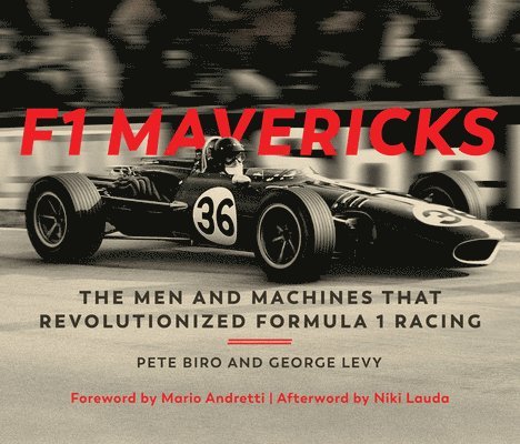 F1 Mavericks 1