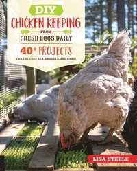 bokomslag DIY Chicken Keeping from Fresh Eggs Daily: 40+ Projects for the Coop, Run, Brooder, and More!