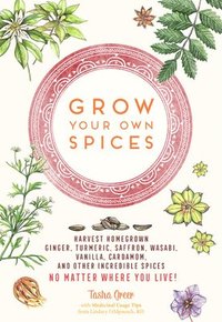 bokomslag Grow Your Own Spices