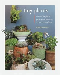 bokomslag Tiny Plants