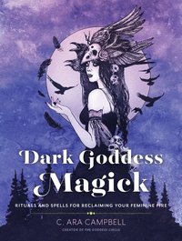 bokomslag Dark Goddess Magick