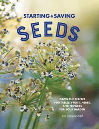 bokomslag Starting & Saving Seeds