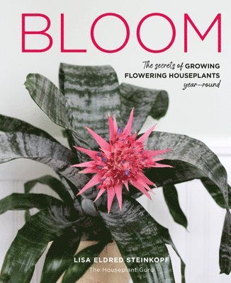 bokomslag Bloom