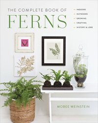 bokomslag The Complete Book of Ferns