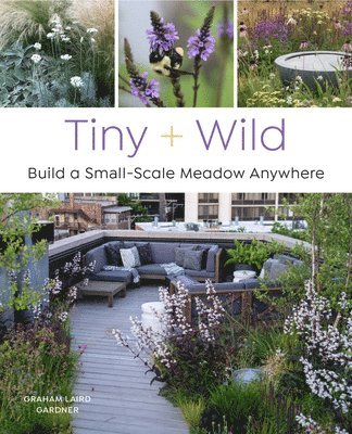 Tiny and Wild 1