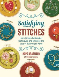 bokomslag Satisfying Stitches