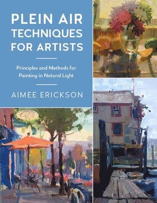 Aimee Erickson - Plein Air Techniques for Artists, Häftad