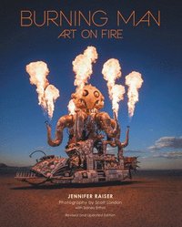 bokomslag Burning Man: Art on Fire