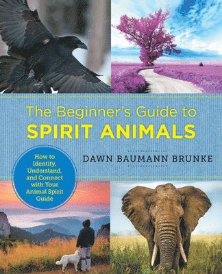 bokomslag Beginner's Guide to Spirit Animals