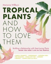 bokomslag Tropical Plants and How to Love Them
