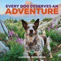 bokomslag Every Dog Deserves an Adventure