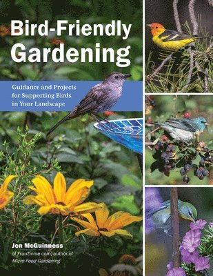 bokomslag Bird-Friendly Gardening: Guidance and Projects for Supporting Birds in Your Landscape