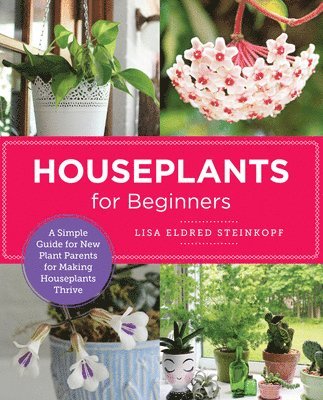 Houseplants for Beginners 1