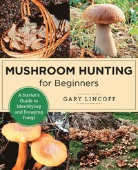 bokomslag Mushroom Hunting for Beginners