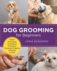 bokomslag Dog Grooming for Beginners