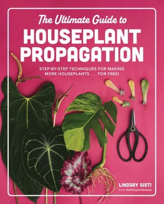 bokomslag The Ultimate Guide to Houseplant Propagation