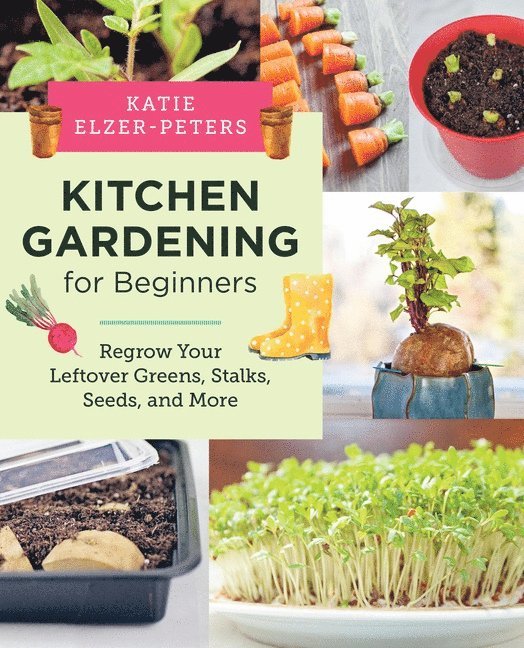 Katie Elzer-Peters, Katie Elzer-Peters - Kitchen Gardening for Beginners, Häftad