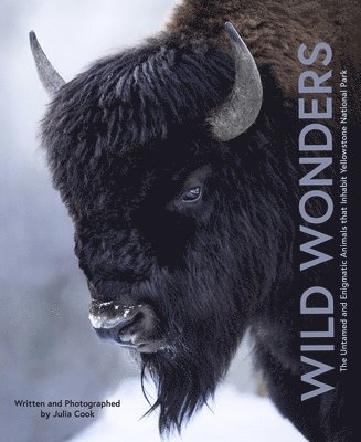 Julia Cook - Wild Wonders, Inbunden