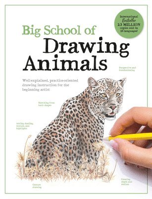 bokomslag Big School of Drawing Animals