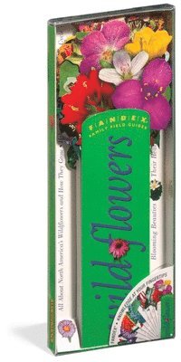 bokomslag Fandex Family Field Guides: Wildflowers