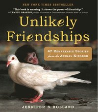 bokomslag Unlikely Friendships