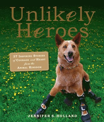 bokomslag Unlikely Heroes