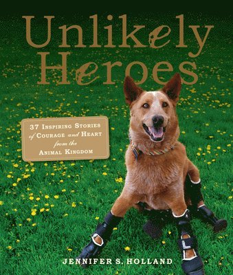 Unlikely Heroes 1