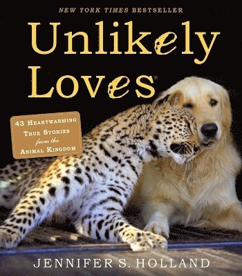 bokomslag Unlikely Loves