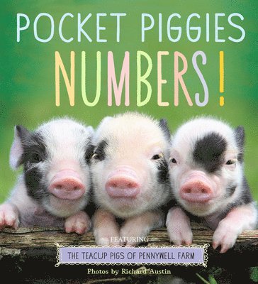 Pocket Piggies Numbers! 1