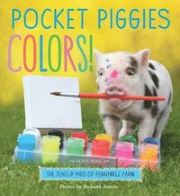 bokomslag Pocket Piggies Colors!