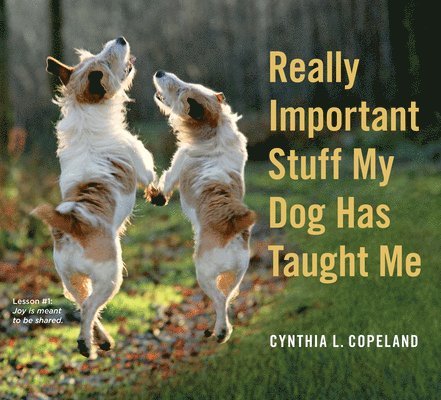 Really Important Stuff My Dog Has Taught Me