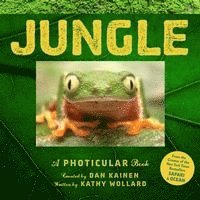 Dan Kainen, Kathy Wollard - Jungle: A Photicular Book, Inbunden