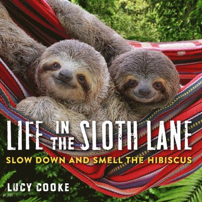 Lucy Cooke - Life in the Sloth Lane, Inbunden