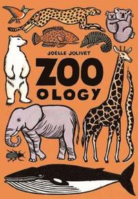 bokomslag Zoo - Ology