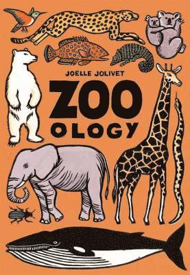 bokomslag Zoo - ology