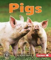 bokomslag Pigs