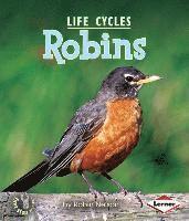 bokomslag Robins