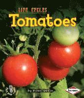 bokomslag Tomatoes