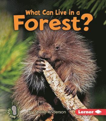 What Can Live in a Forest? 1