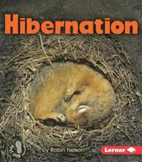 bokomslag Hibernation