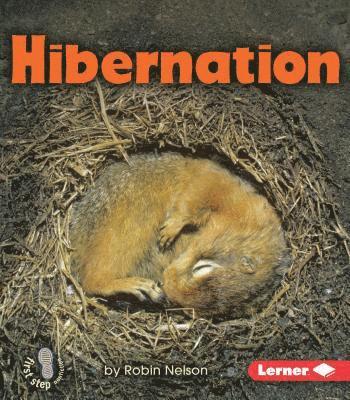 Hibernation 1