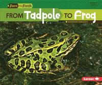 bokomslag From Tadpole to Frog