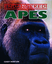 bokomslag Apes