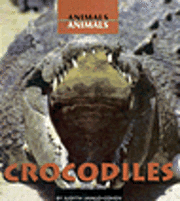 bokomslag Crocodiles